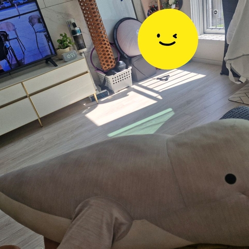 피드 이미지
