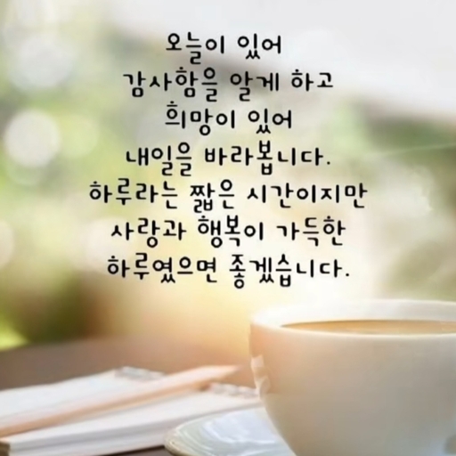 피드 이미지