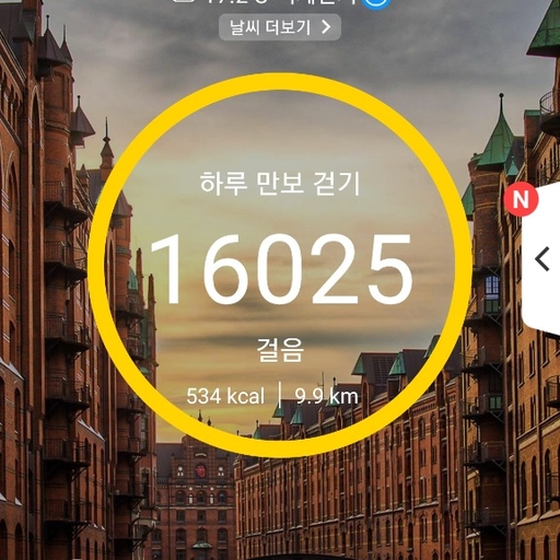 피드 이미지