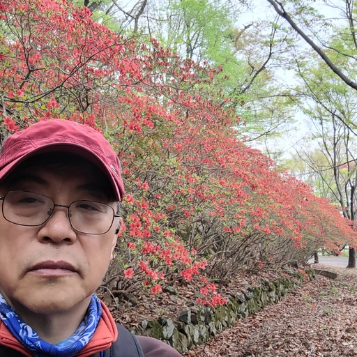피드 이미지