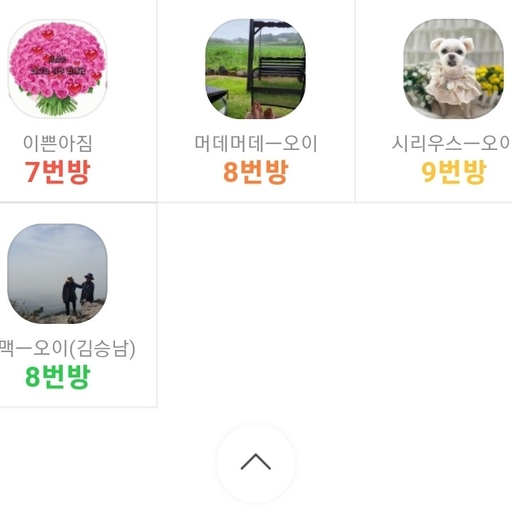피드 이미지