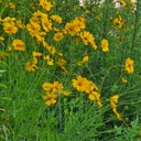 공지사항 작성자 프로필