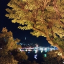 멤버 프로필