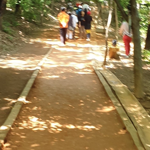 모임 대표 이미지