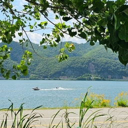 피드에 업로드 된 이미지