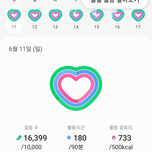 피드 이미지