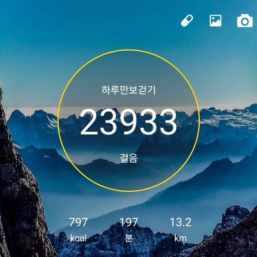 피드 이미지