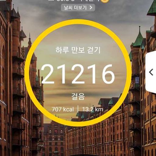 피드 이미지