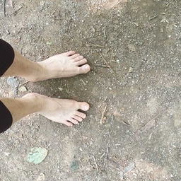 피드에 업로드 된 이미지