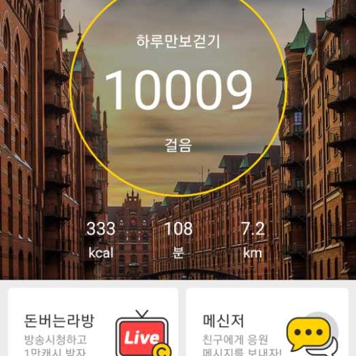 피드 이미지