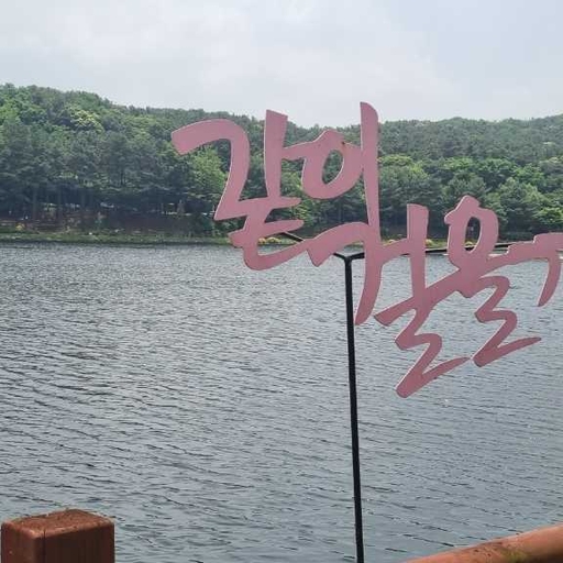 피드 이미지