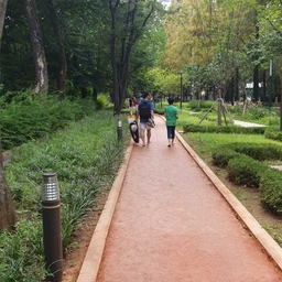 피드에 업로드 된 이미지