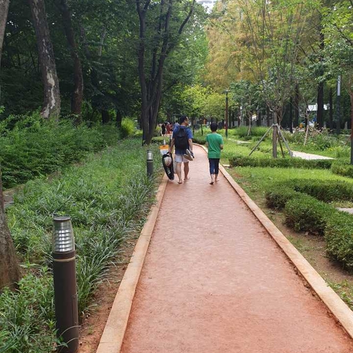 피드 이미지