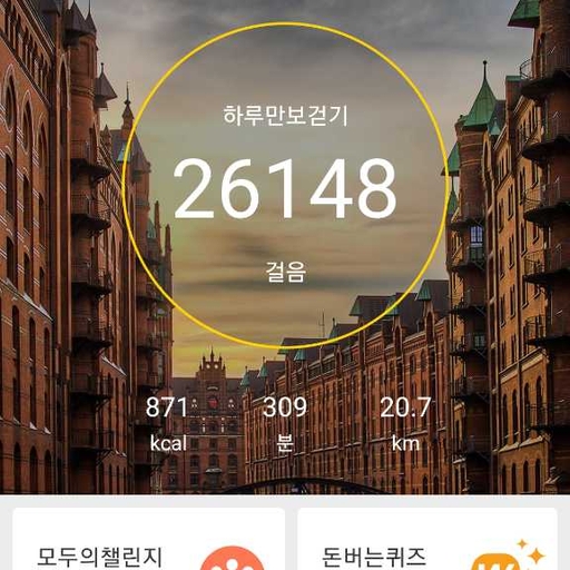 피드 이미지