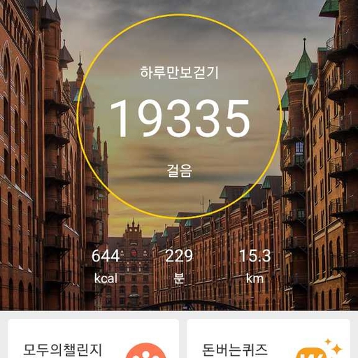 피드 이미지