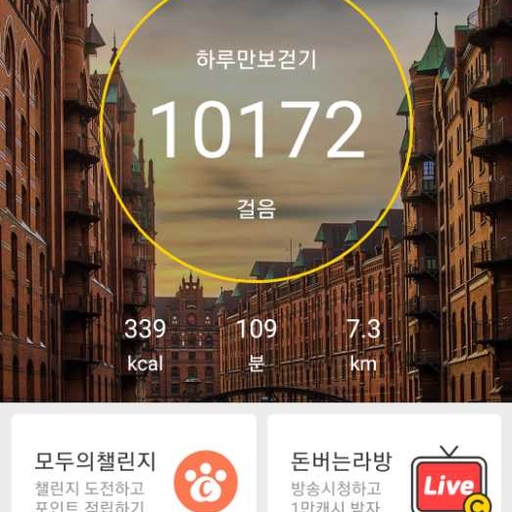 피드 이미지