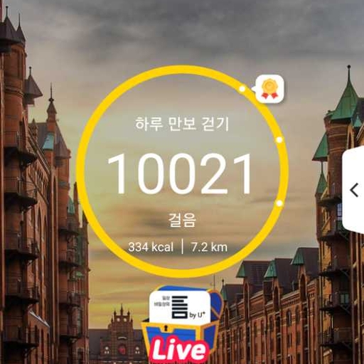 피드 이미지