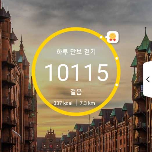 피드 이미지