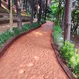 피드에 업로드 된 이미지