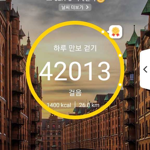 피드 이미지