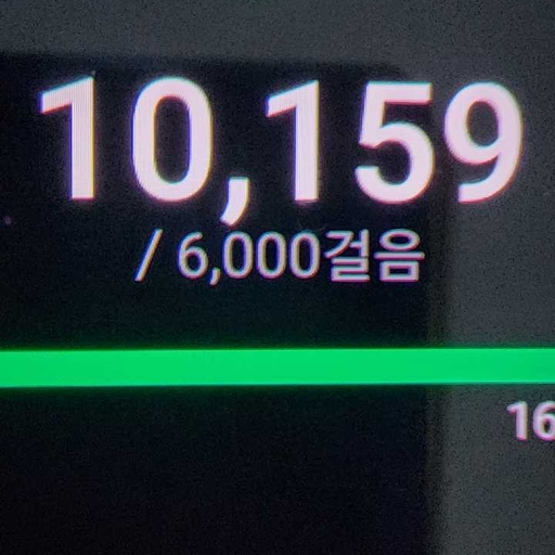 피드 이미지