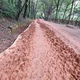 피드에 업로드 된 이미지