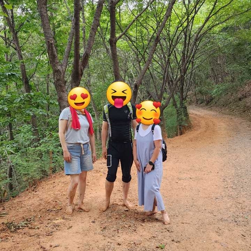 피드 이미지