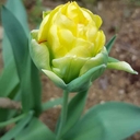 참가 유저 프로필