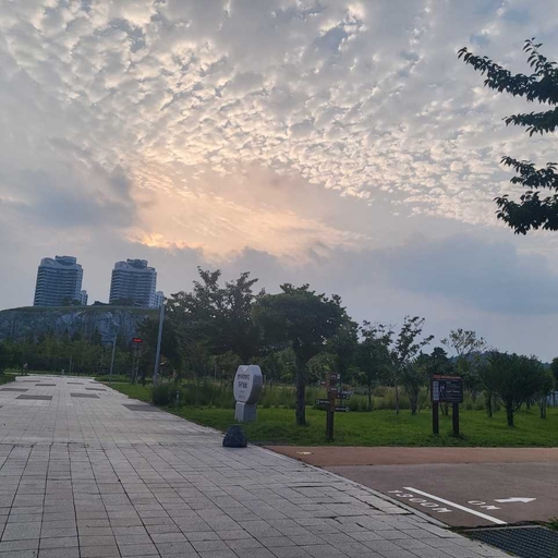 피드 이미지