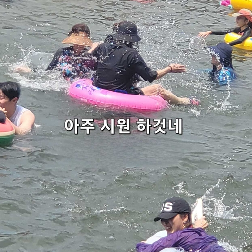 피드 이미지