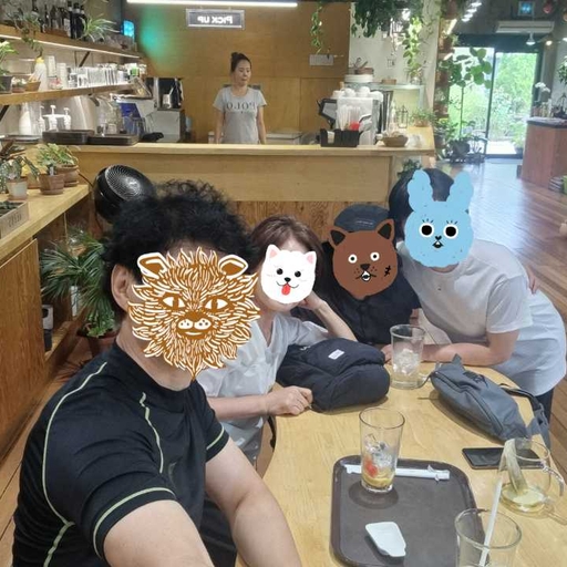 피드 이미지