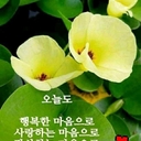 멤버 프로필