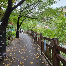 피드에 업로드 된 이미지