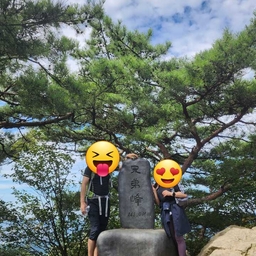 피드에 업로드 된 이미지