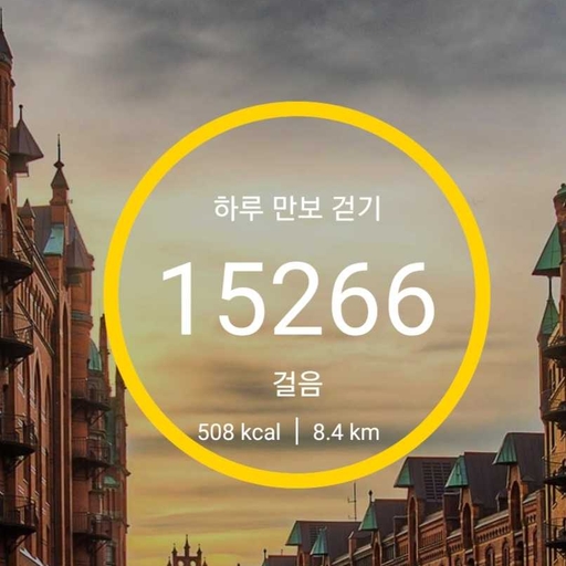 피드 이미지