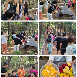 피드에 업로드 된 이미지