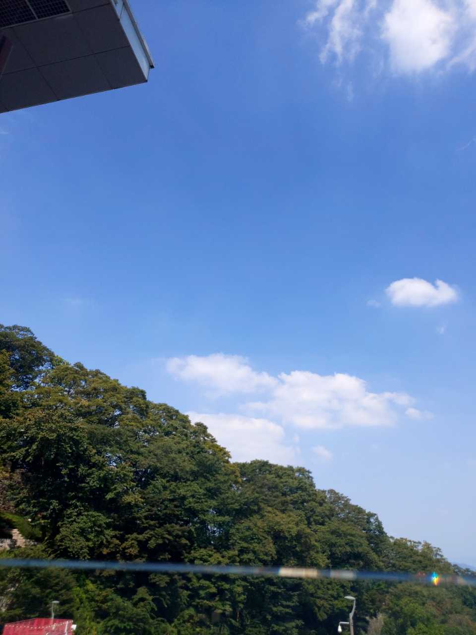 피드에 업로드 된 이미지