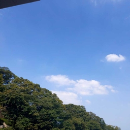피드에 업로드 된 이미지