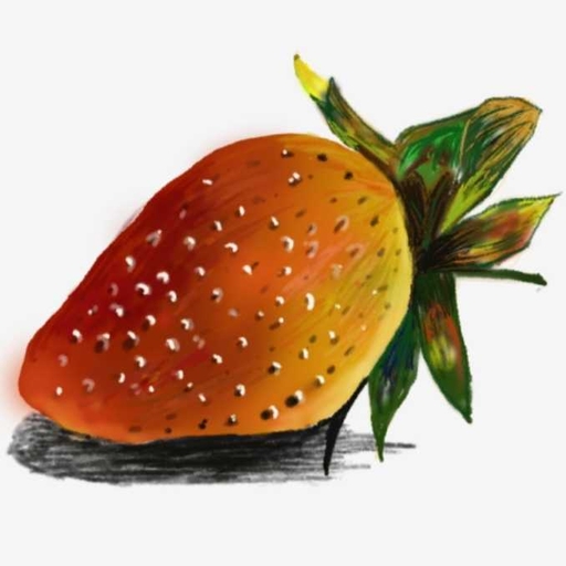 피드 이미지