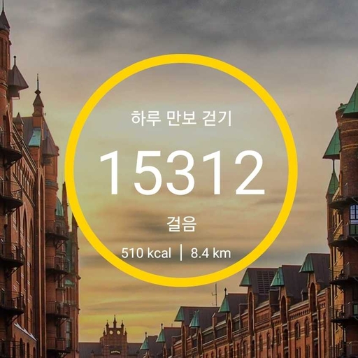 피드 이미지