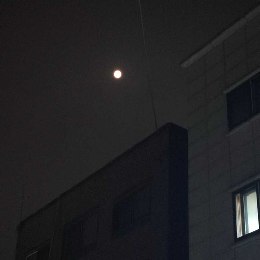 피드 이미지
