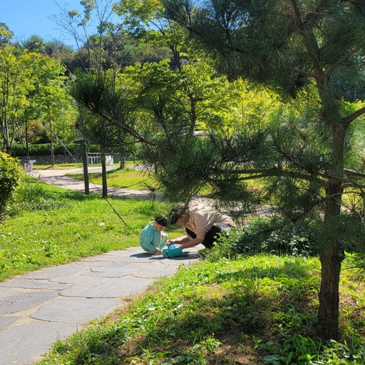 피드 이미지