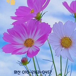 피드에 업로드 된 이미지