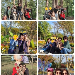 피드에 업로드 된 이미지