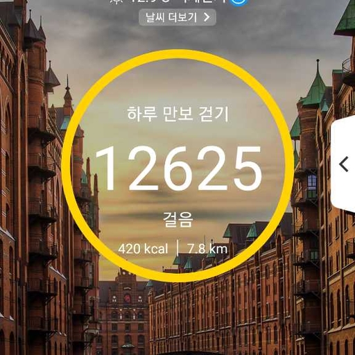 피드 이미지