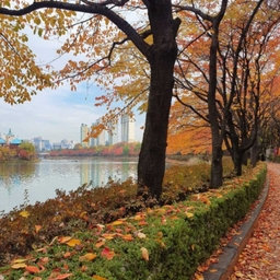 피드에 업로드 된 이미지