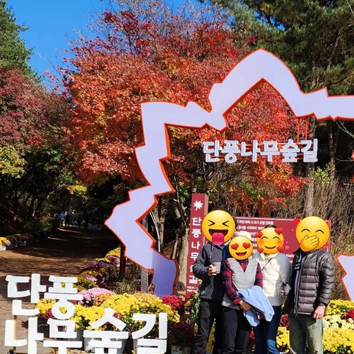 피드 이미지