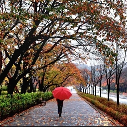 피드에 업로드 된 이미지