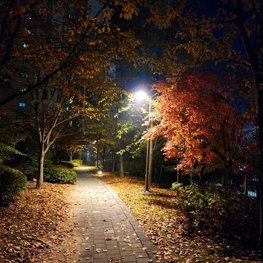 피드 이미지