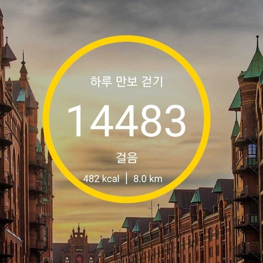 피드 이미지